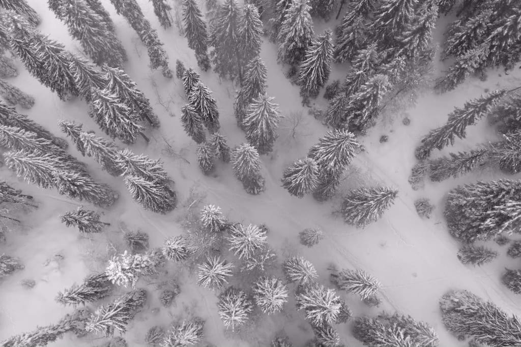 Chic & Champetre Au Coeur Du Haut-Jura Ламура Екстериор снимка