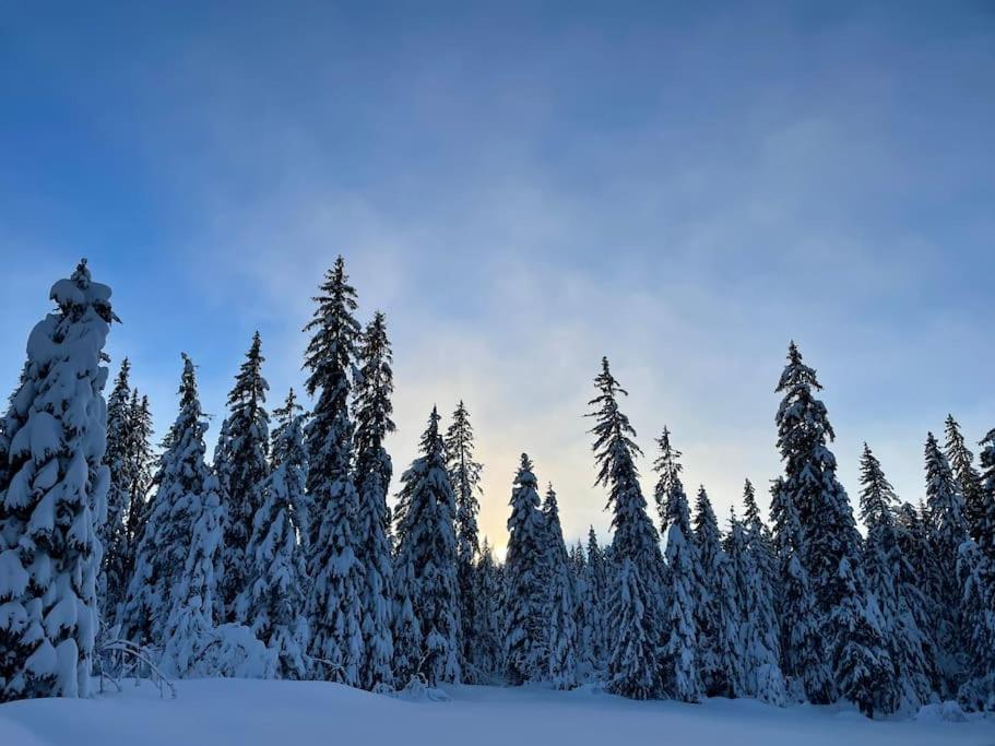 Chic & Champetre Au Coeur Du Haut-Jura Ламура Екстериор снимка